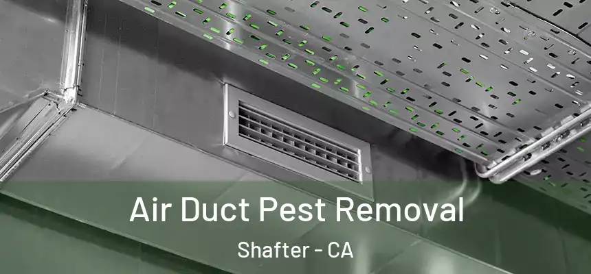  Air Duct Pest Removal Shafter - CA