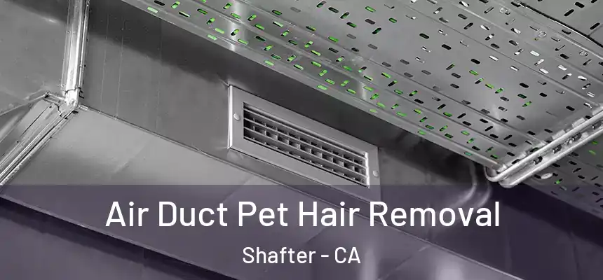 Air Duct Pet Hair Removal Shafter - CA