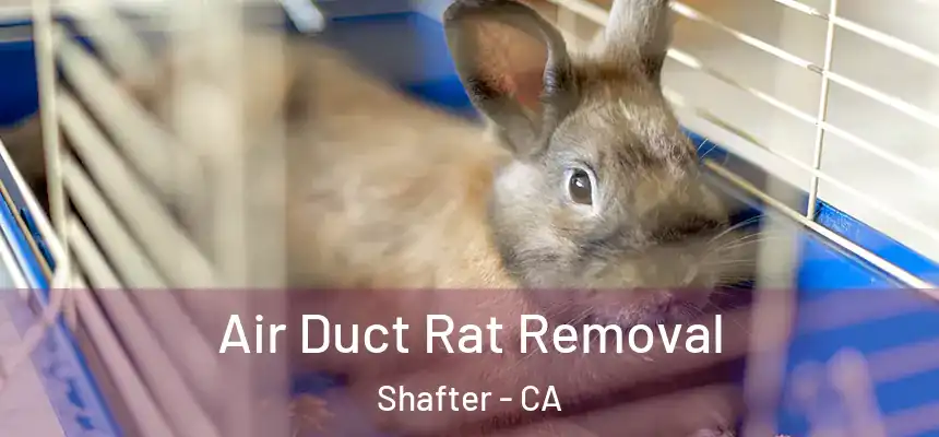  Air Duct Rat Removal Shafter - CA