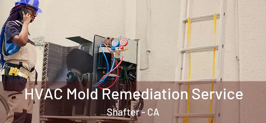 HVAC Mold Remediation Service Shafter - CA