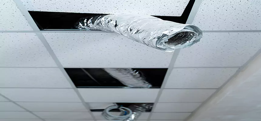 Affordable HVAC Sanitizing After Pest Removal in Shafter