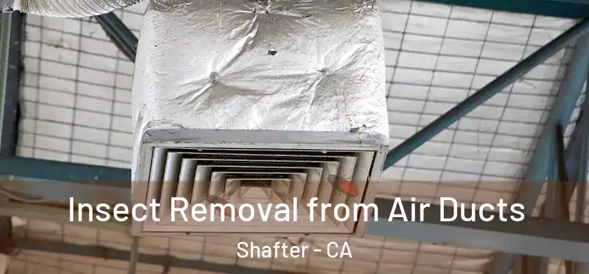 Insect Removal from Air Ducts Shafter - CA