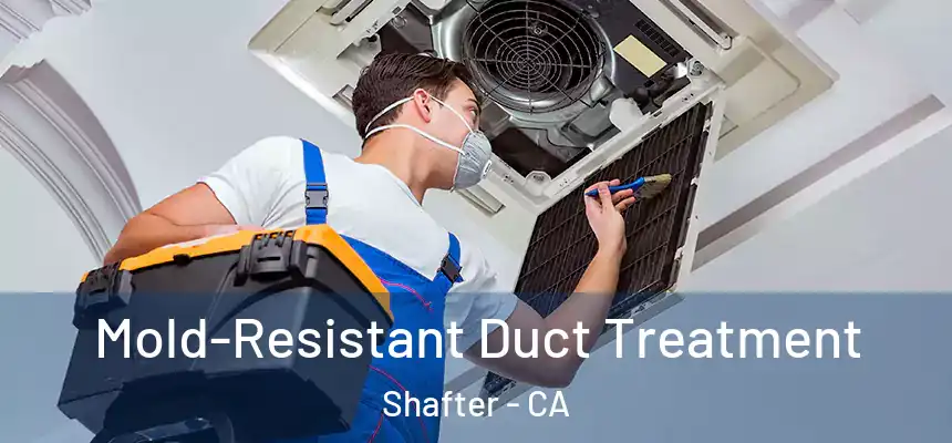 Mold-Resistant Duct Treatment Shafter - CA