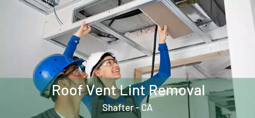 Roof Vent Lint Removal Shafter - CA