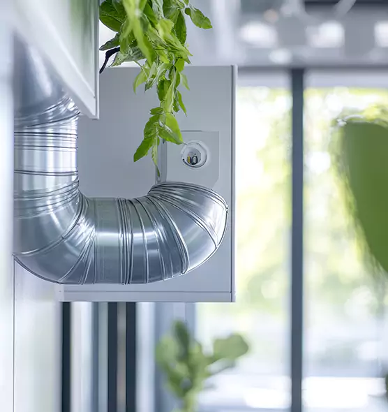 Professional Eco-Safe Dryer Vent Cleaning in Shafter, CA