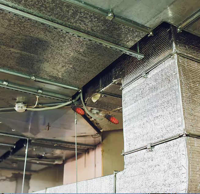 Why Homeowners & Businesses Trust Us Shafter, CA?